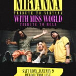 "Till Death do us Part" Tour A Grunge Love Story